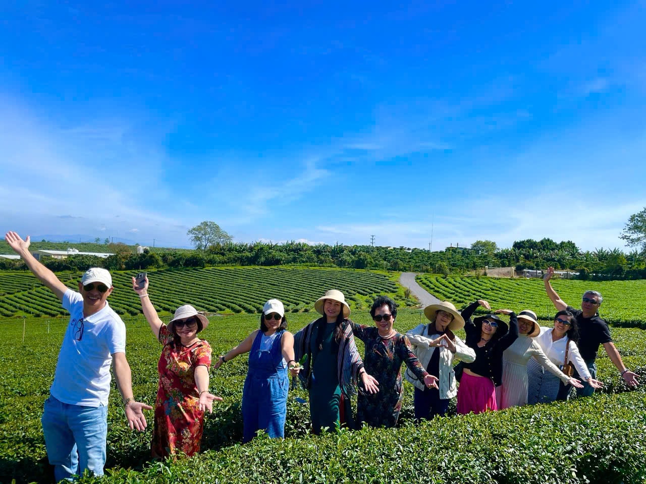 Lâm Đồng phát triển du lịch xanh từ những đồi chè