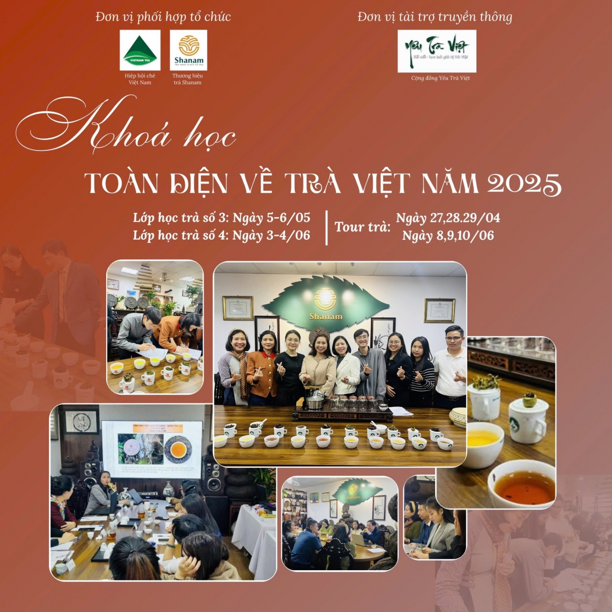 khóa học "Toàn diện về Trà Việt Nam"